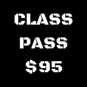 Single MN Permit To Carry Class Purchase